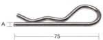 50015363.jpg