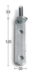 50015806.jpg